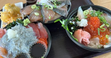 淡路島の海鮮丼